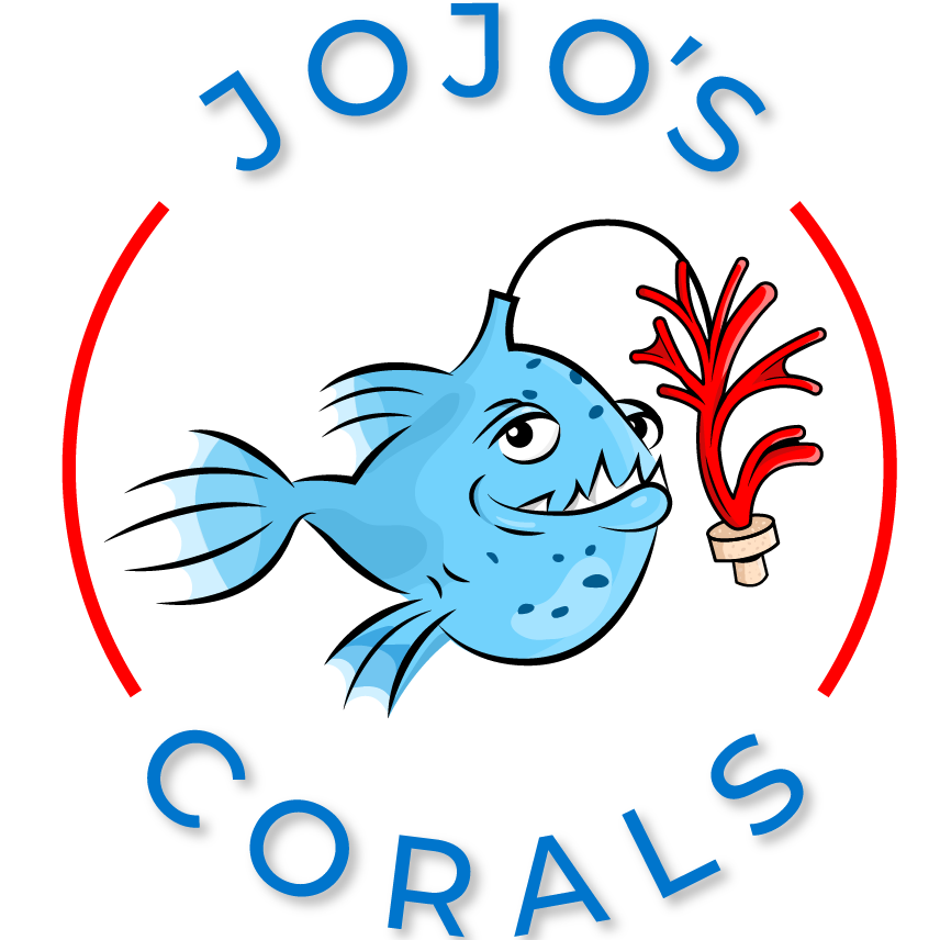 Jojo's Corals Logo