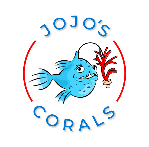 Jojo's Corals